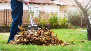 Gardening Leave Investigations